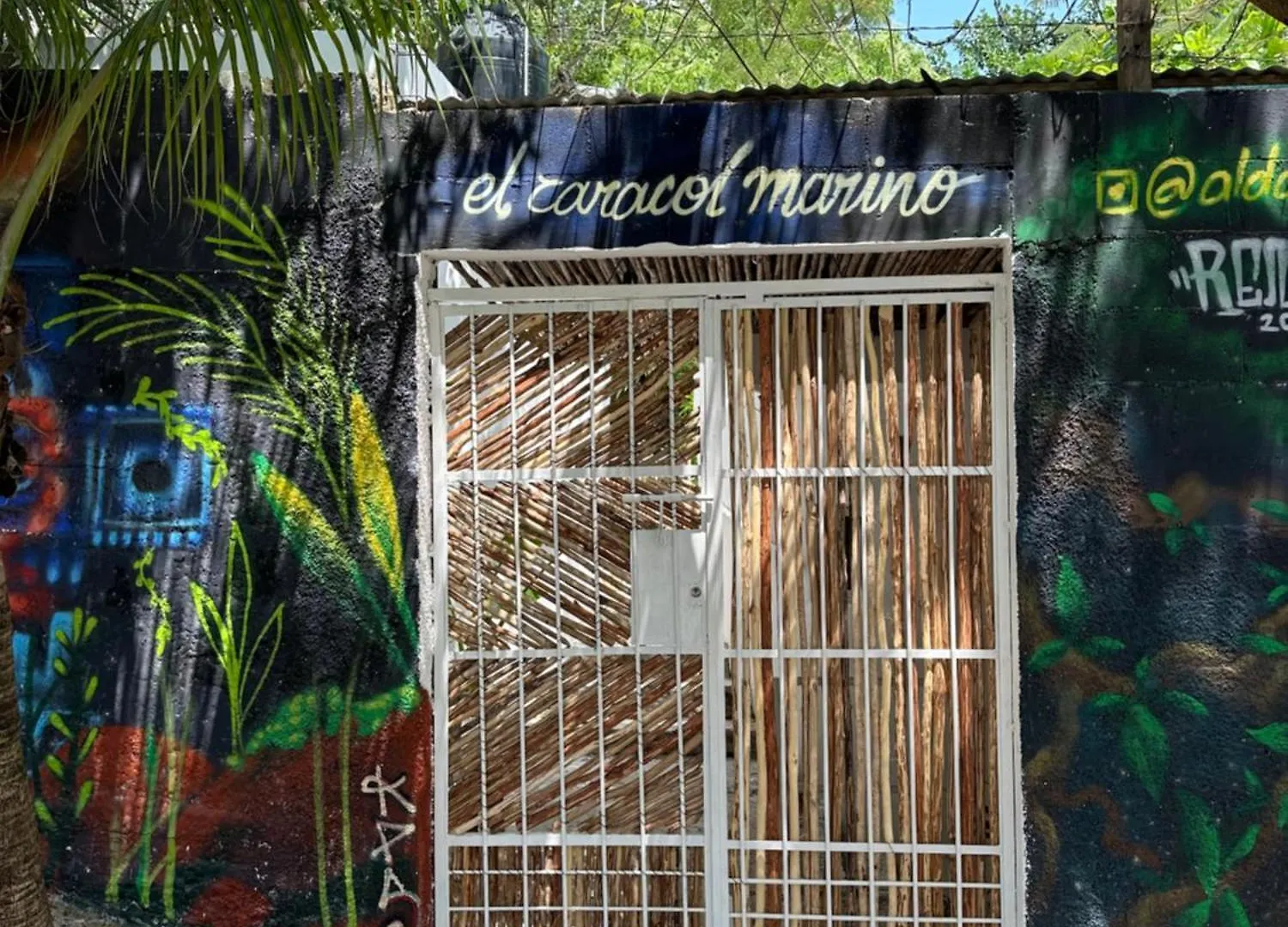 דירה פלאייה דל כרמן Jungle&Beach Studios מקסיקו